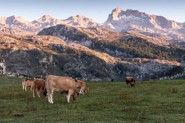 Los Picos de Europa, Asturias