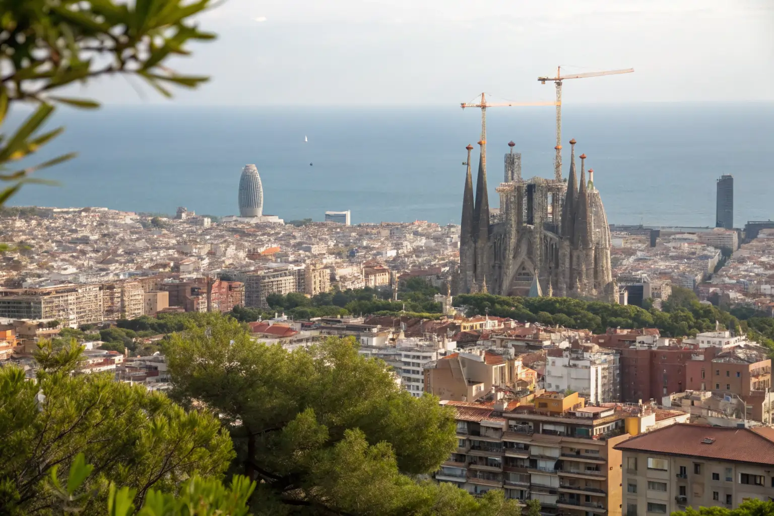 Barcelona vista desde Montjuïc con mar y arquitectura icónica,cosas que ver y hacer en Barcelona